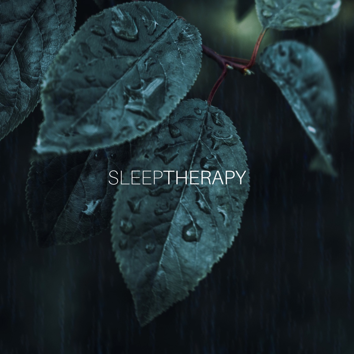Rainy Garden - Single by SleepTherapy album cover artwork