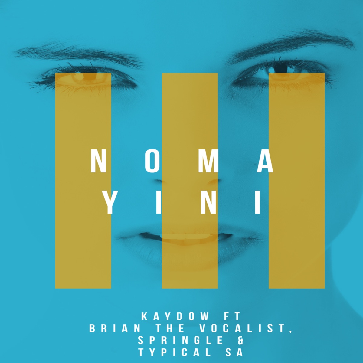 Nomayini (feat. Springle, Brian The Vocalist & Typical SA) - Single by Kaydow album cover