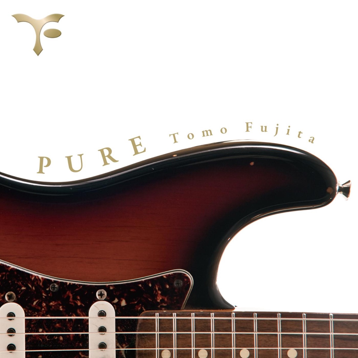 Pure (feat. Will Lee, Steve Gadd, Bernard Purdie & Steve Jordan) by Tomo Fujita album cover