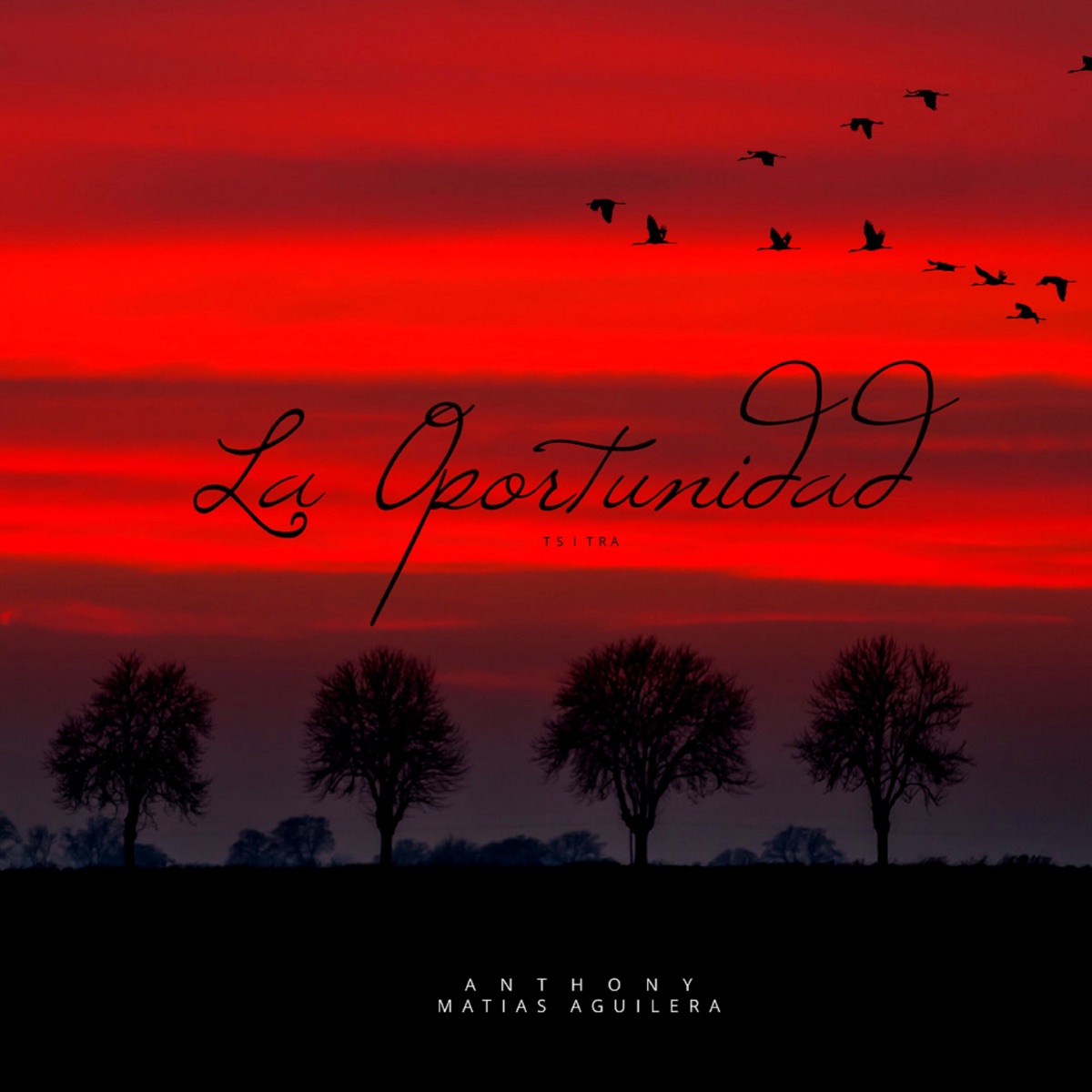 La Oportunidad - Single by A N T H O N Y & Matias Aguilera album cover
