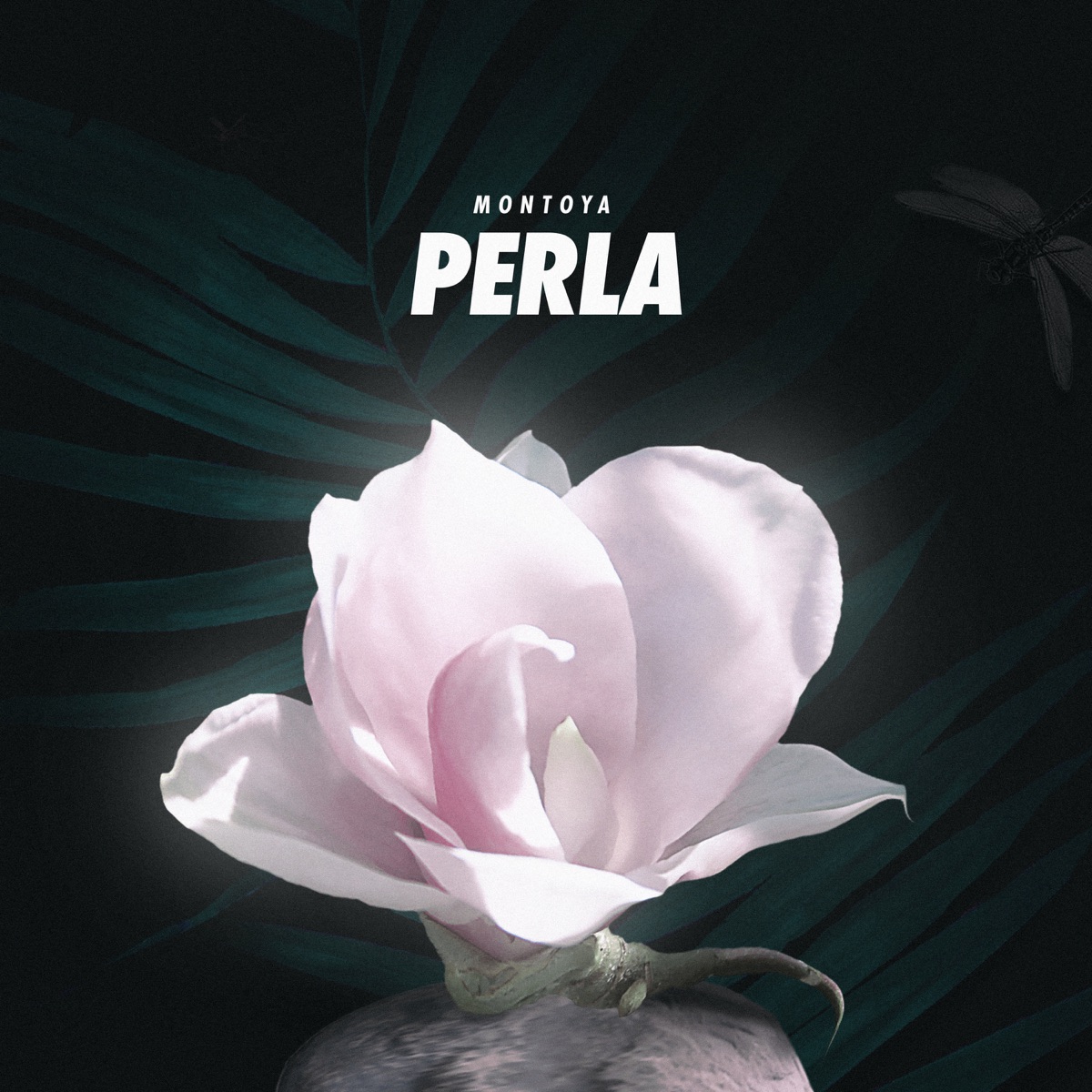 Perla - Single by Montoya album cover