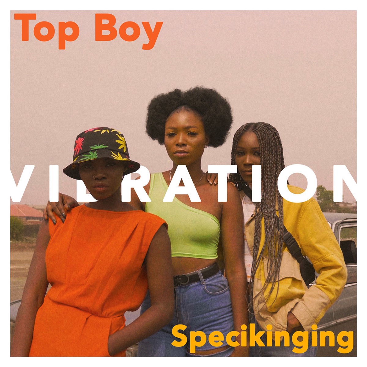 Vibration (feat. Specikinging) - Single by Top Boy album cover