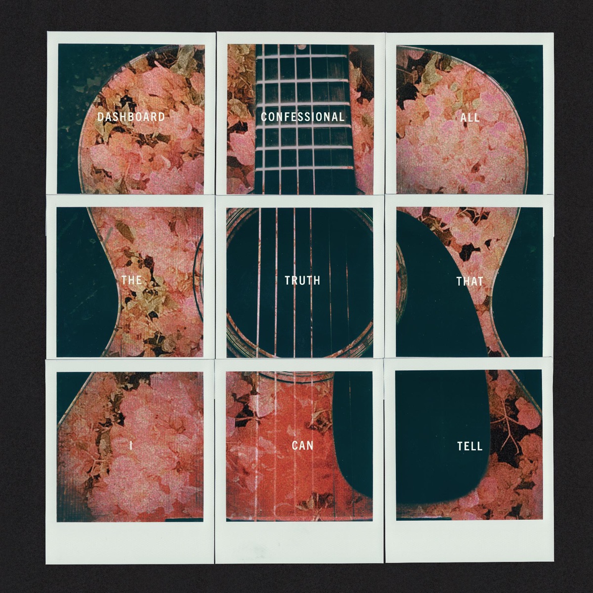 All the Truth That I Can Tell by Dashboard Confessional album cover