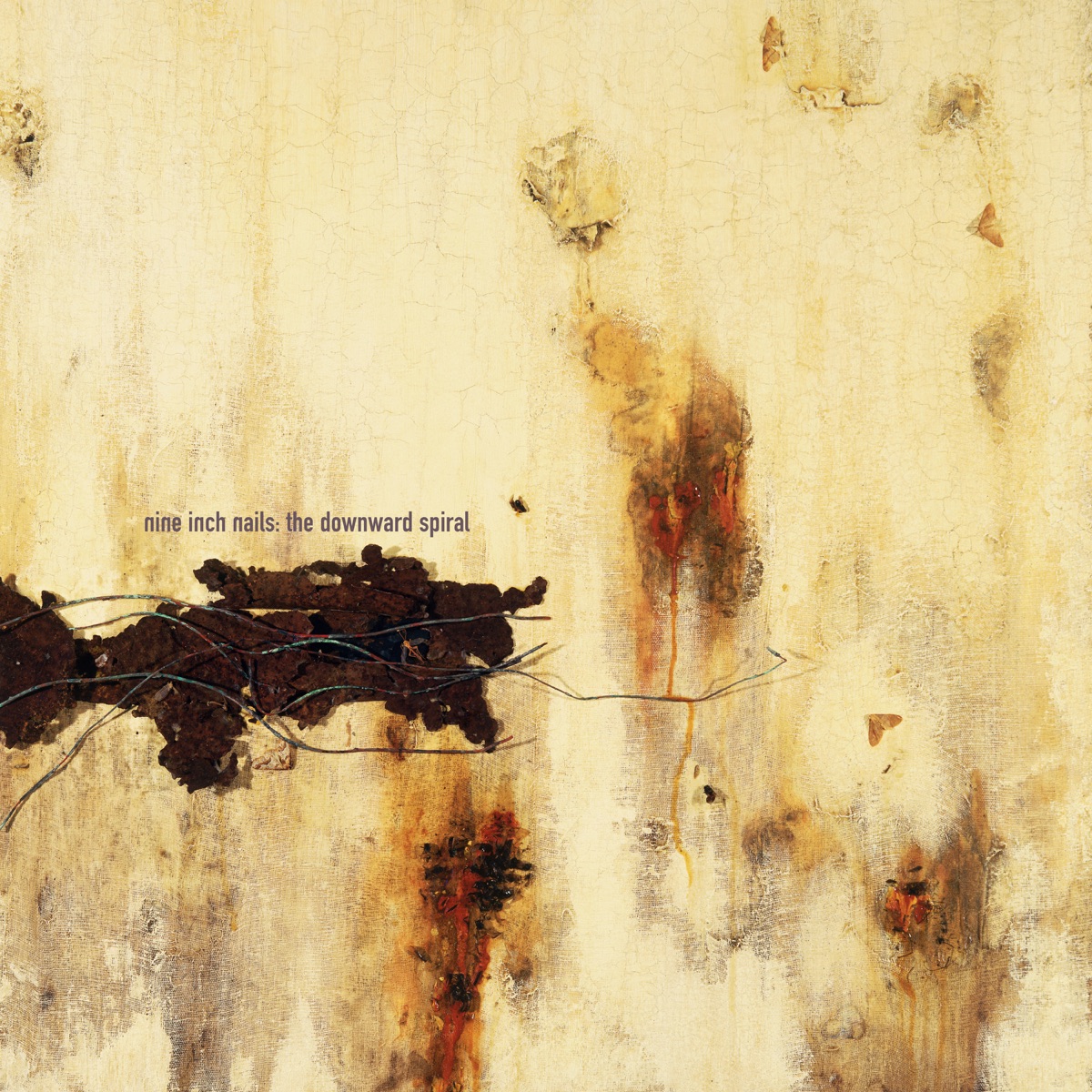 The Downward Spiral by Nine Inch Nails album cover
