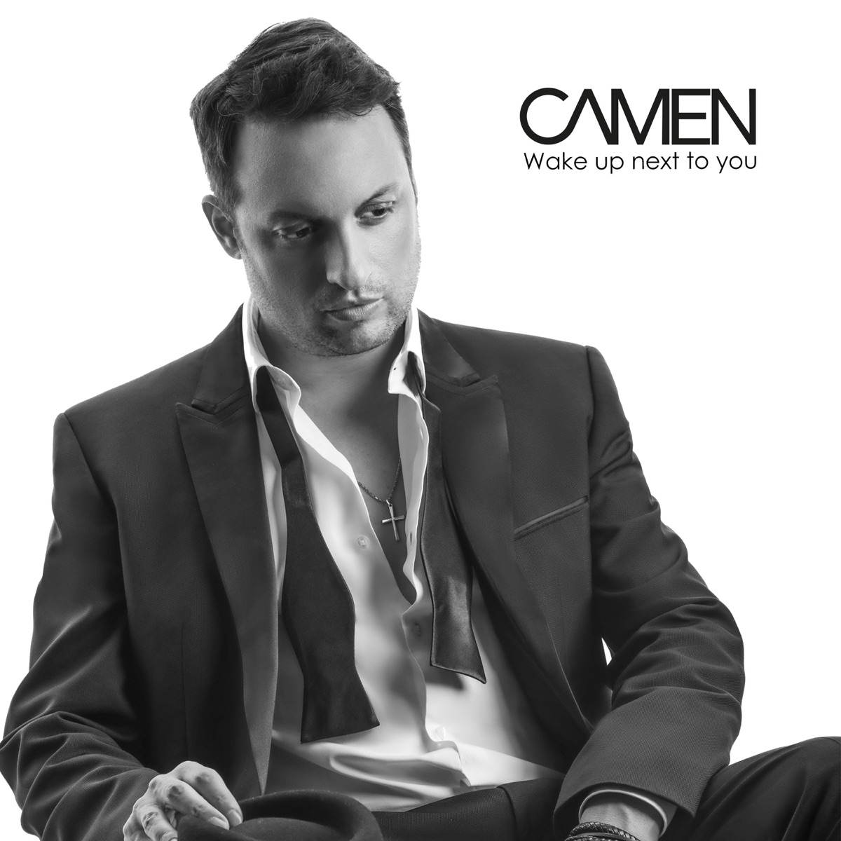 Wake Up Next to You - Single by Camen album cover