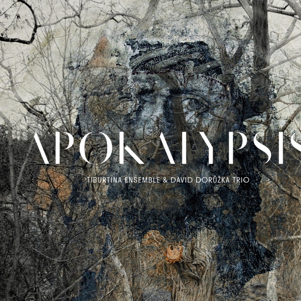 Apokalypsis (Codex Las Huelgas, Spanish Medieval Manuscript) by Tiburtina Ensemble & David Dorůžka Trio album cover