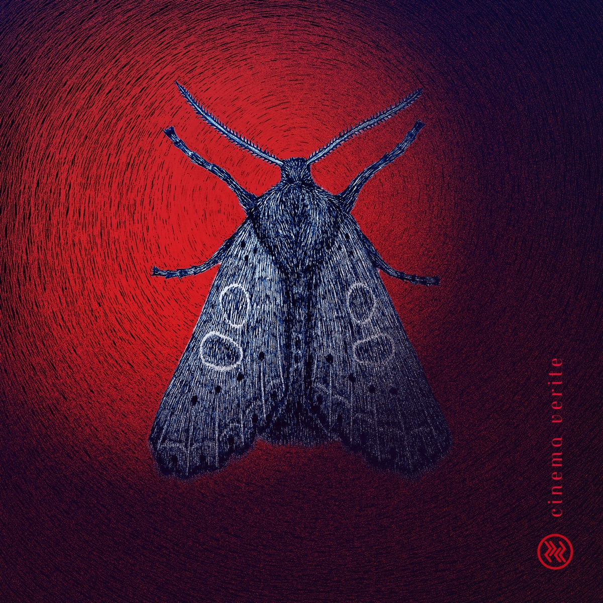 CINEMA VERITE (feat. Amira Gill) - Single by ZYkR album cover