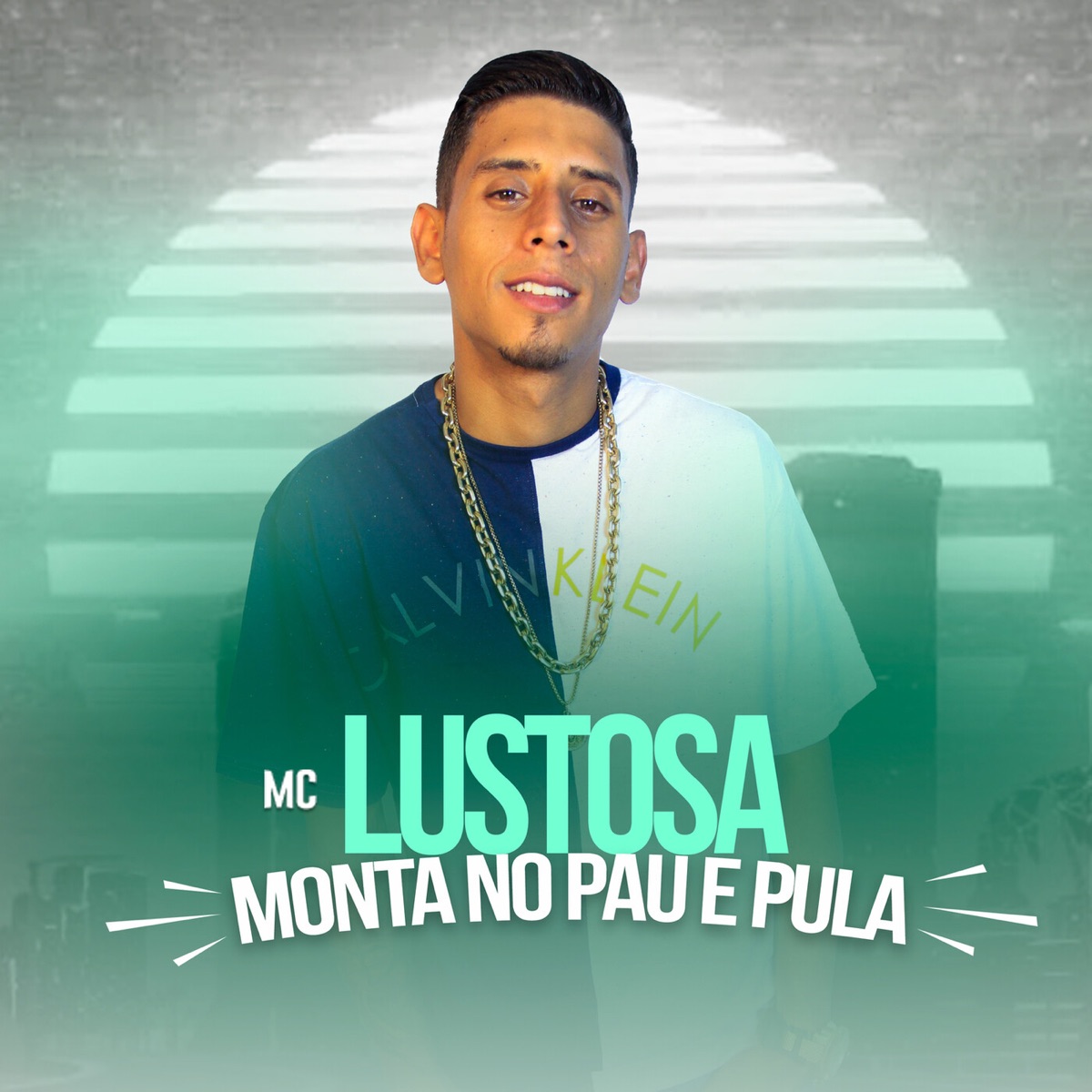 Monta No Pau e Pula - Single by Mc Lustosa & DJ TH album cover