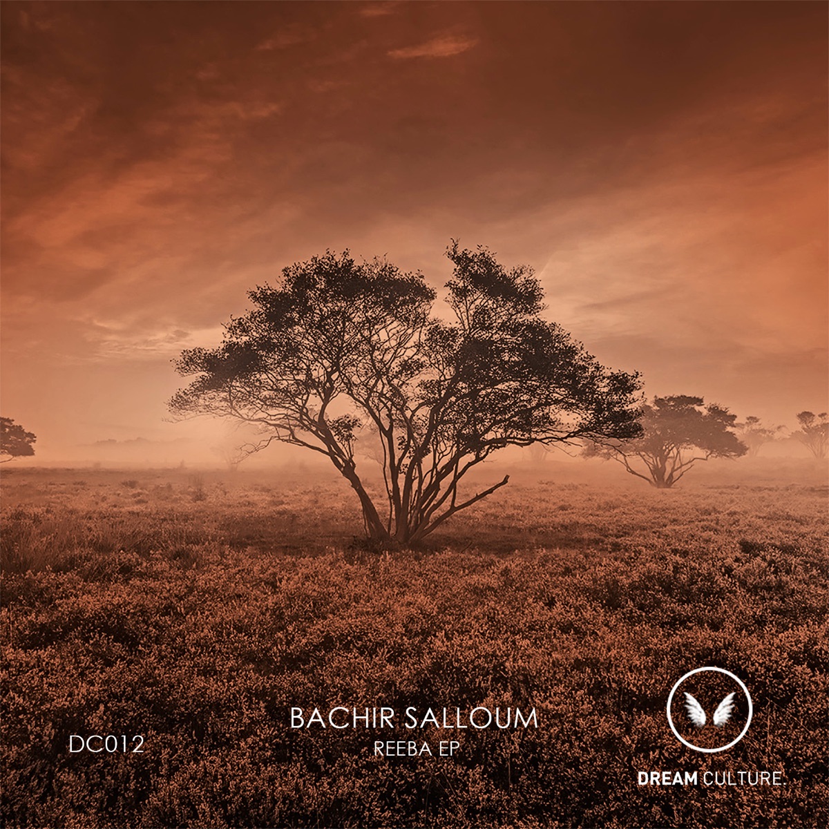 Reeba by Bachir Salloum album cover