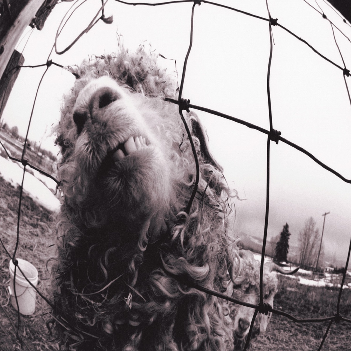 Vs. by Pearl Jam album cover