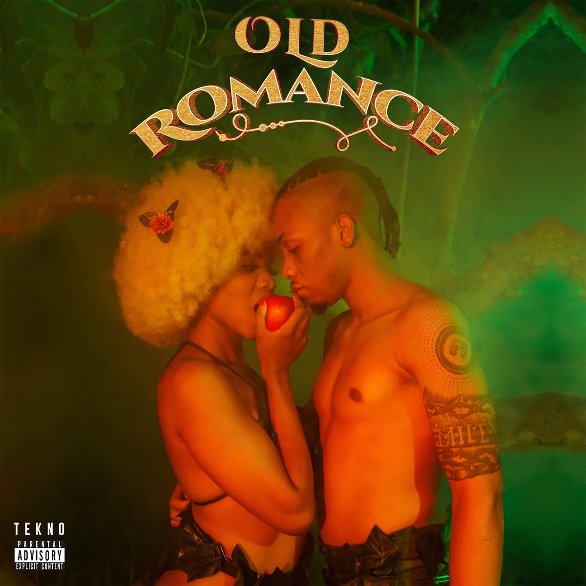 Old Romance by Tekno album cover