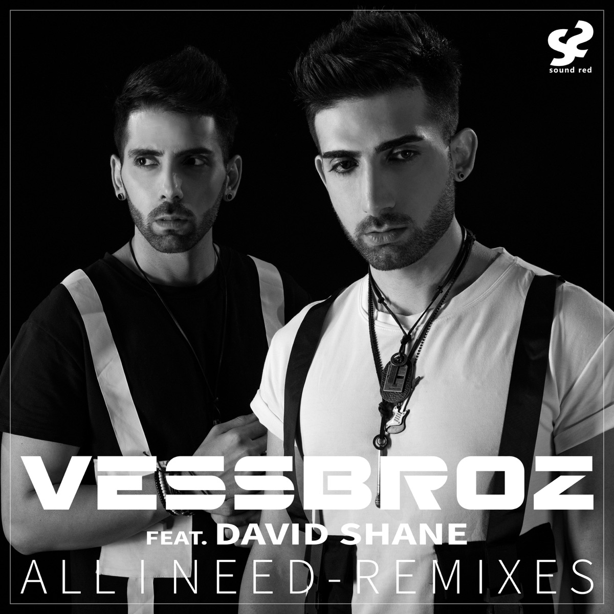 All I Need (Remixes) [feat. David Shane] by Vessbroz album cover