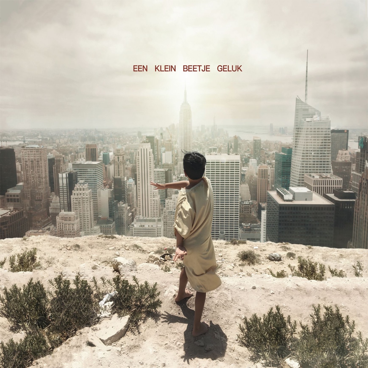 Een Klein Beetje Geluk by Ali B album cover