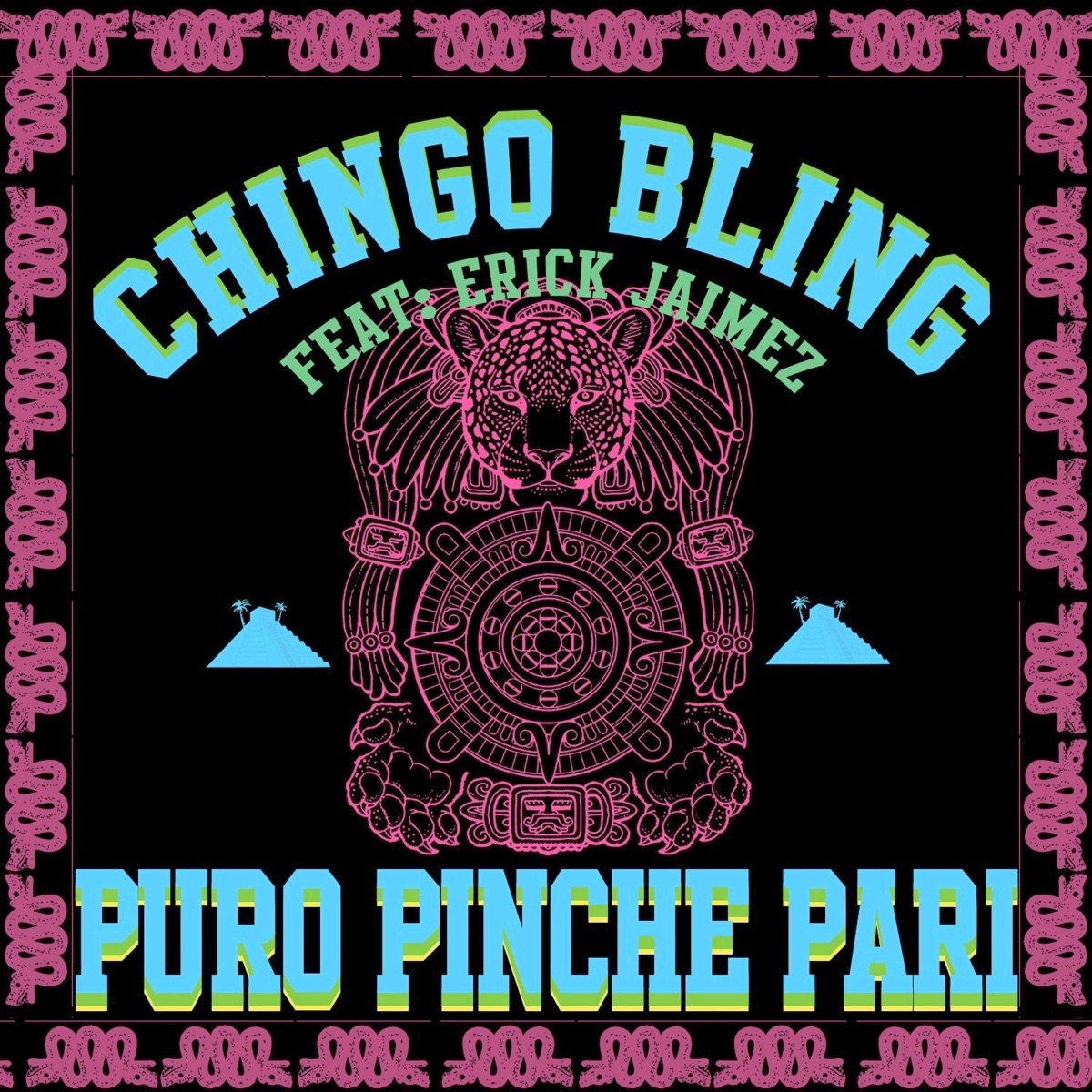 Puro Pinche Pari - Single by Chingo Bling album cover