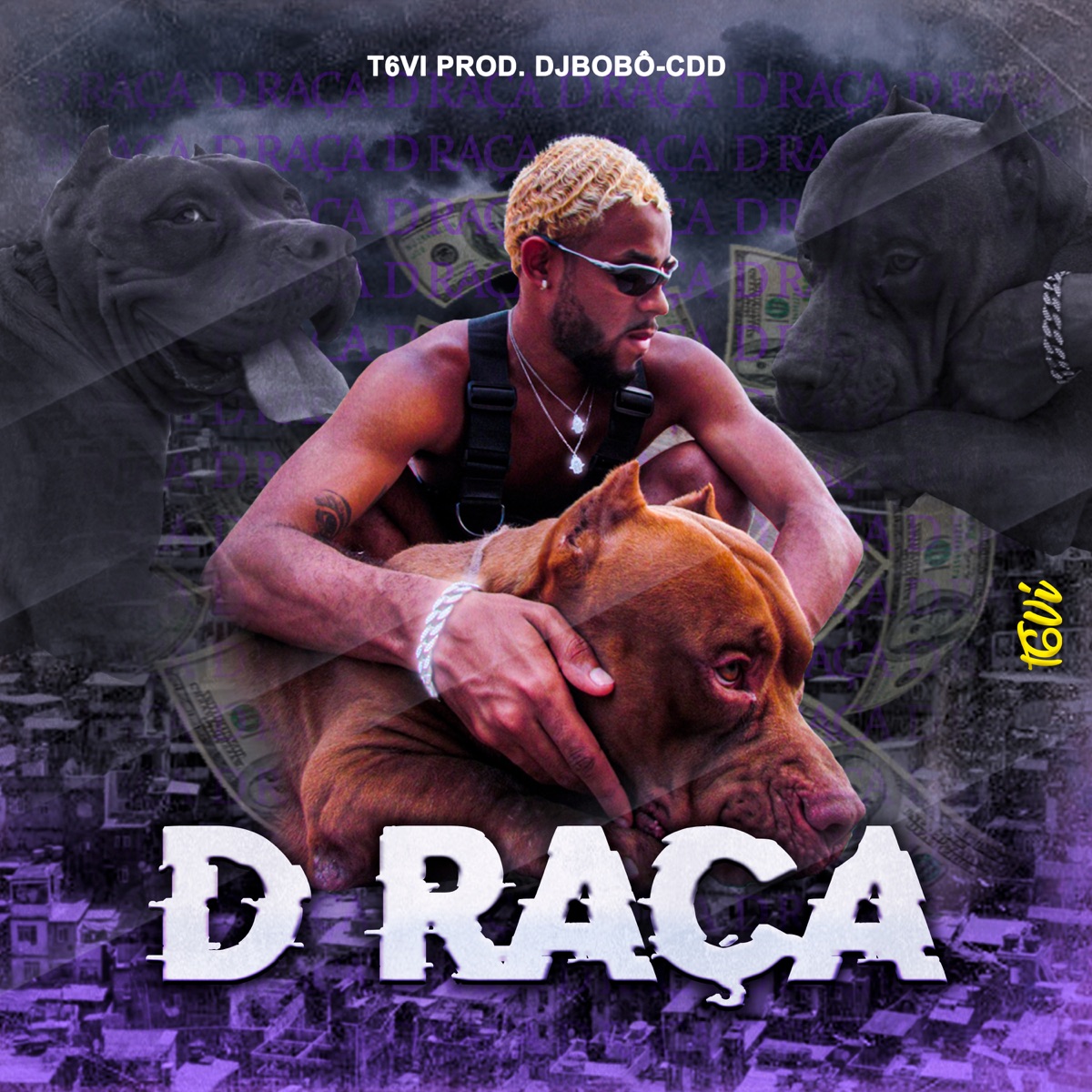D Raça - Single by T6VI album cover