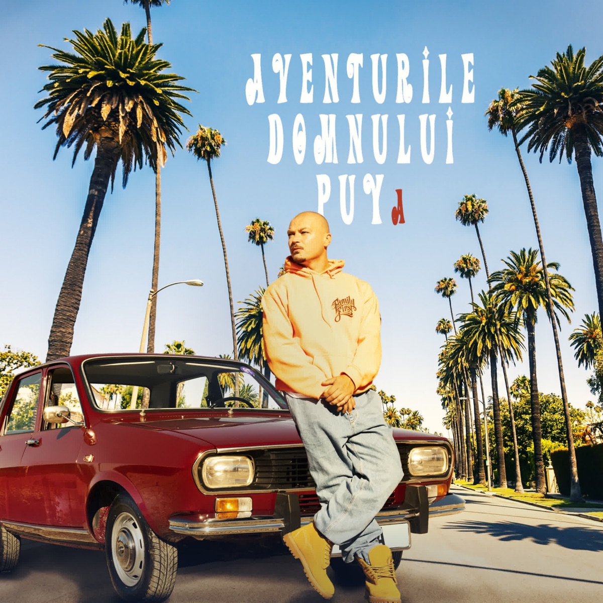 Aventurile Domnului Puy(A) by Puya album cover