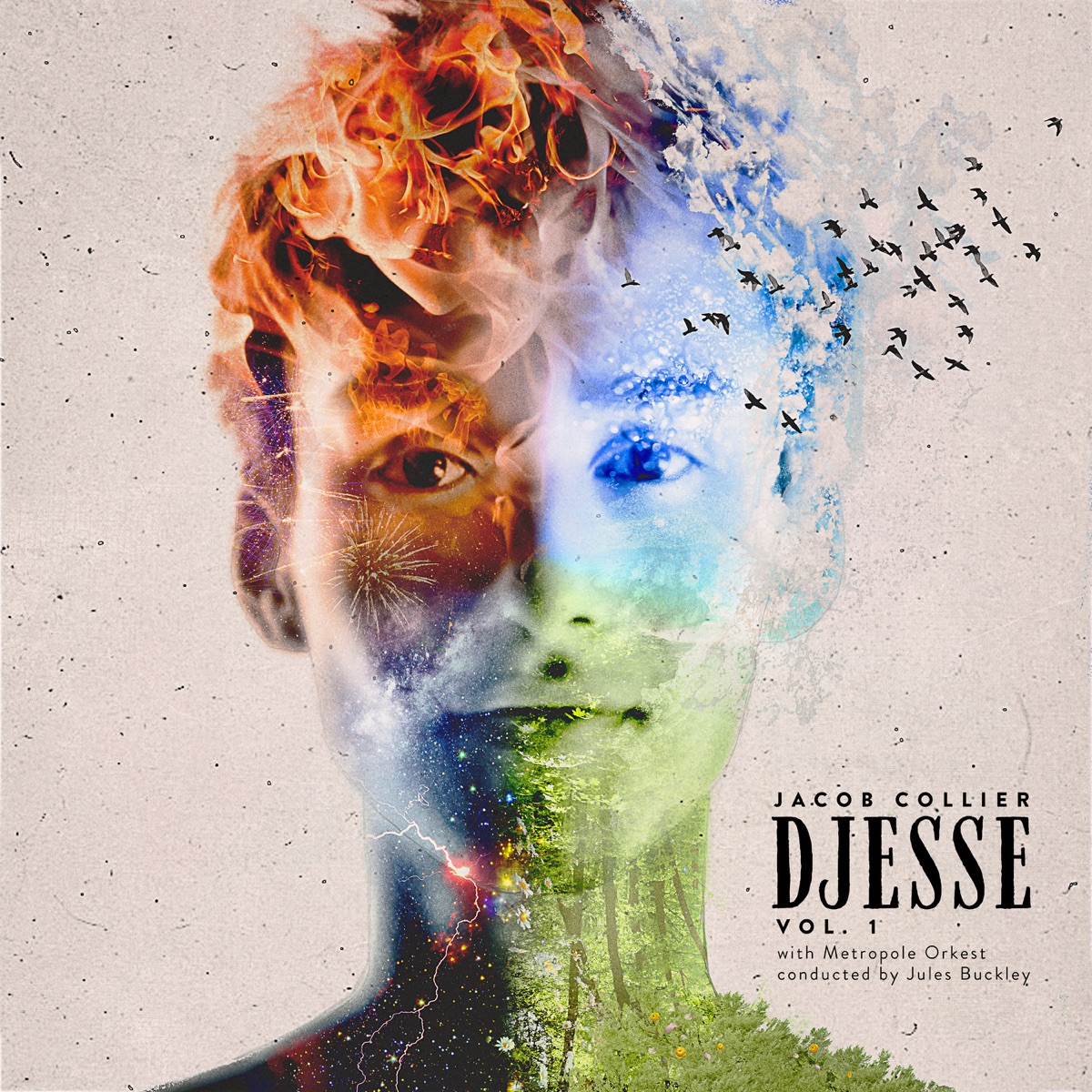 Djesse Vol. 1 by Jacob Collier, Metropole Orchestra & Jules Buckley album cover