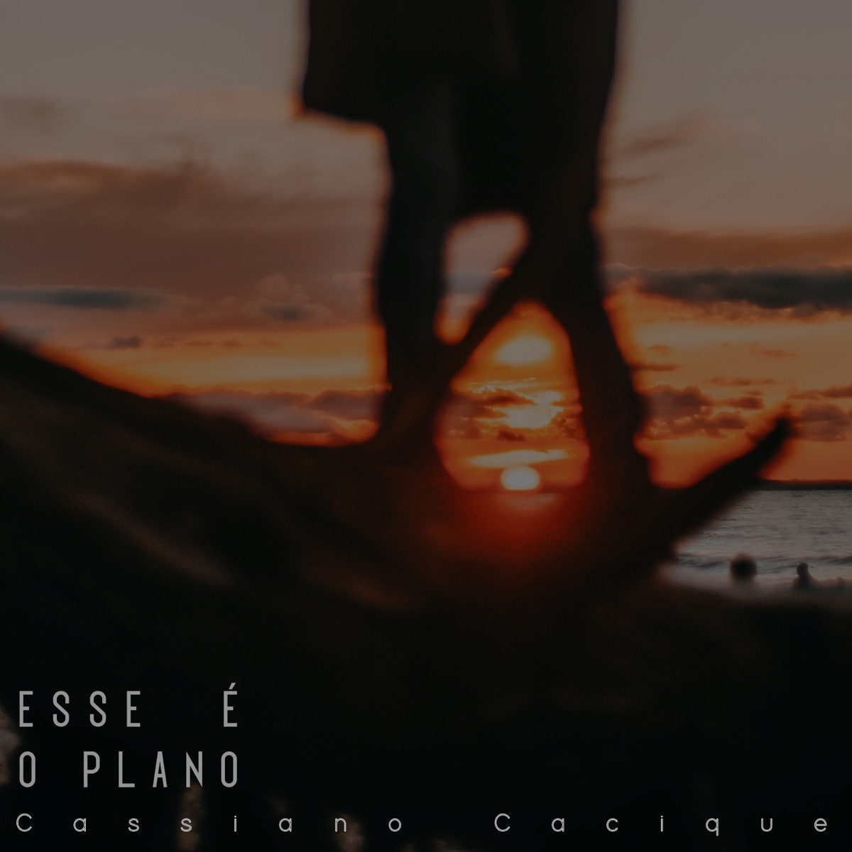 Esse É o Plano - Single by Cassiano Cacique & Freitera album cover