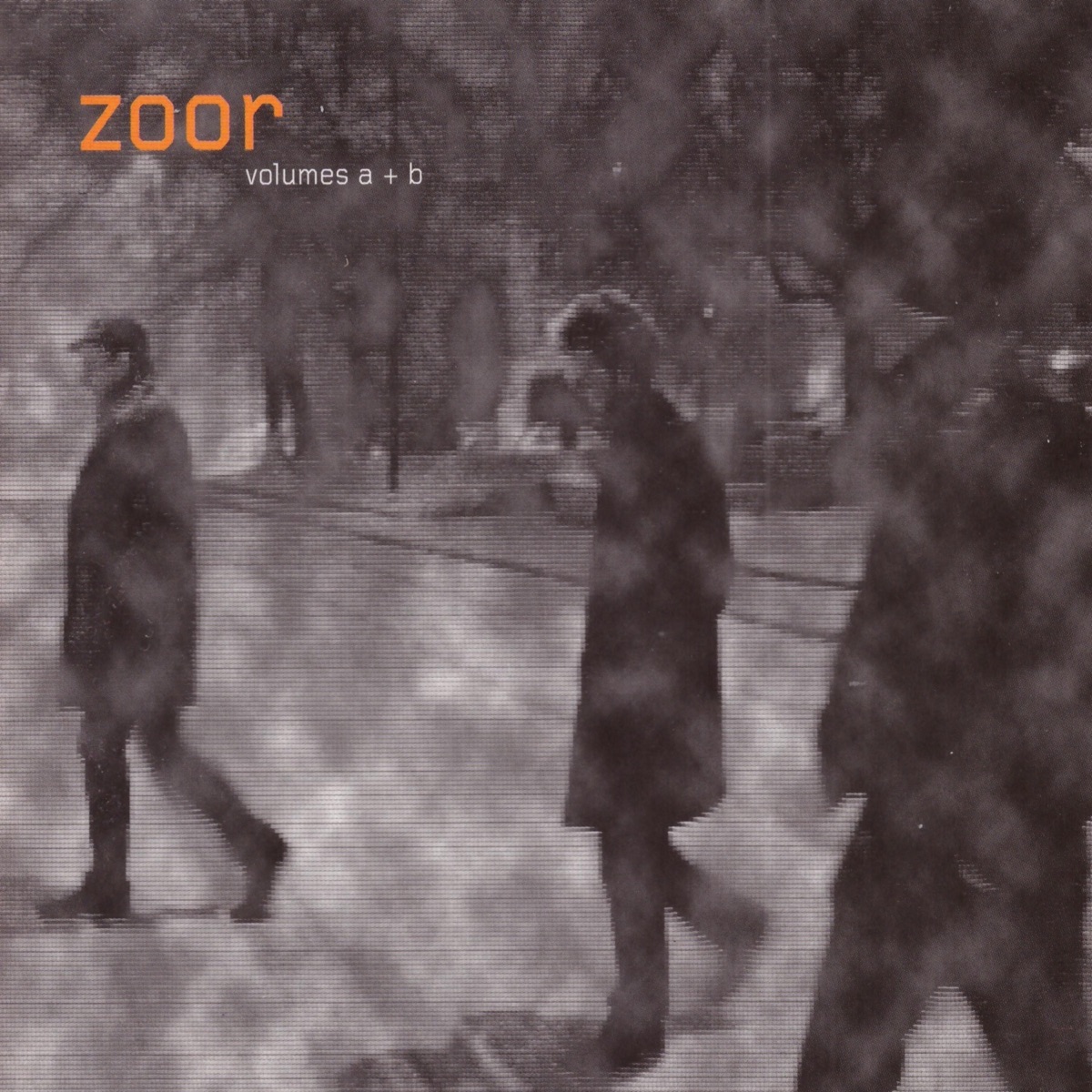 Zoor by Bertrand Denzler, Antonin Gerbal & Jean-Sébastien Mariage album cover