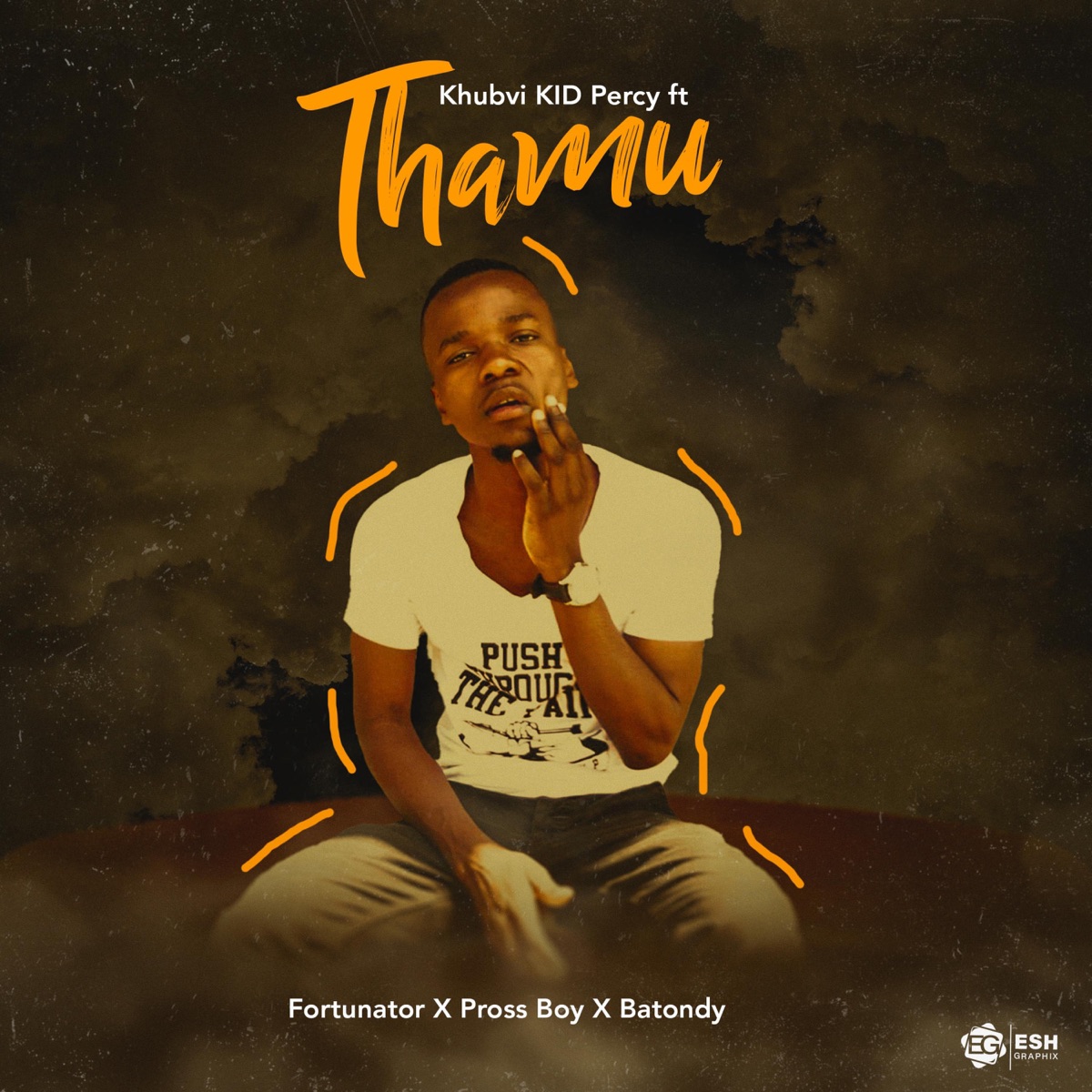 Thamu (feat. Fortunator, Batondy & Pross Boy) - Single by Khubvi KiD Percy album cover