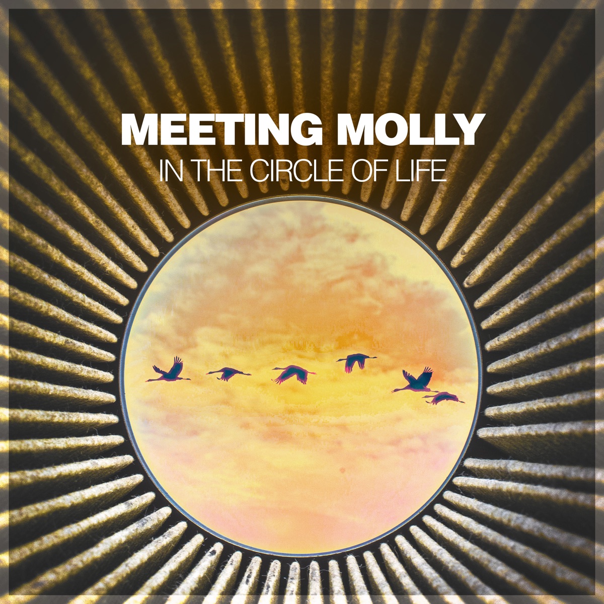 In the Circle of Life - EP by Meeting Molly album cover