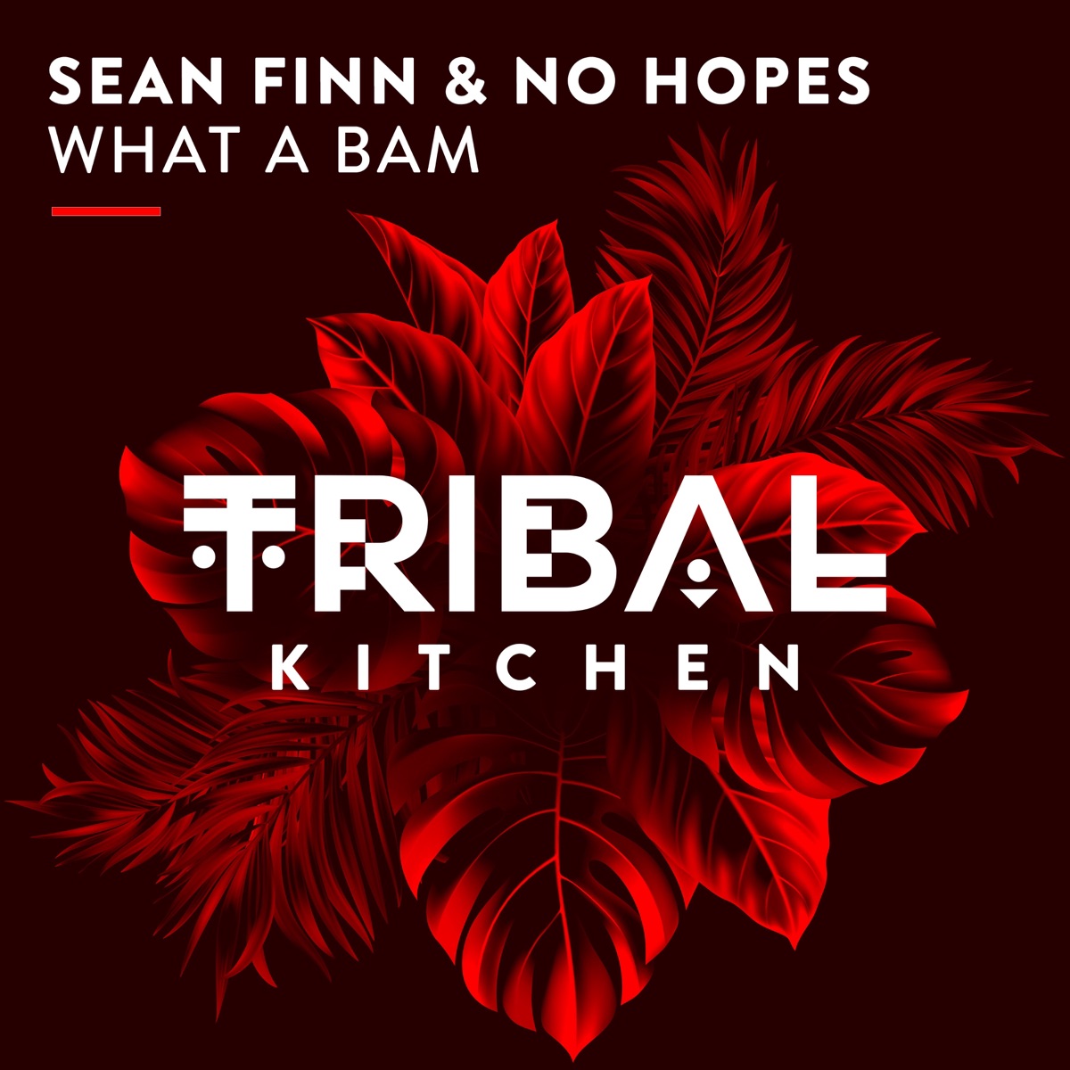 What a Bam (Radio Edit) - Single by Sean Finn & No Hopes album cover