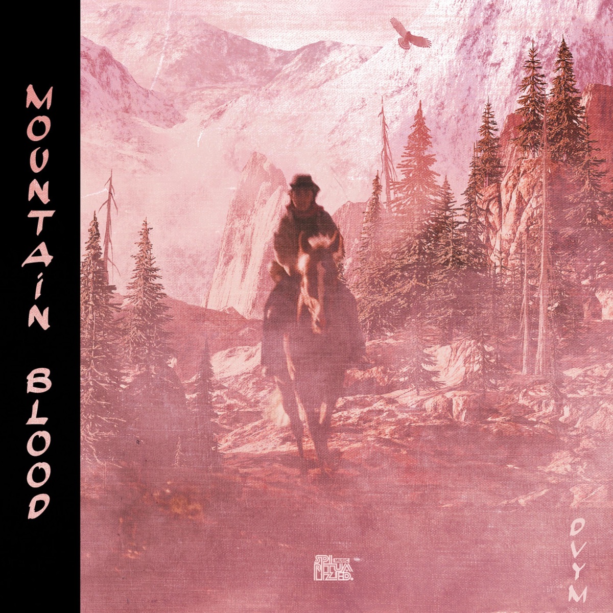 Mountain Blood - EP by DVYM album cover