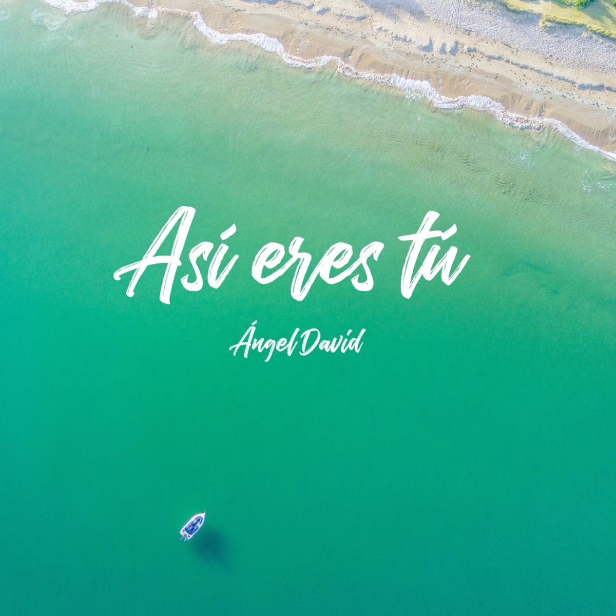 Así eres tu - Single by Angel David Music album cover