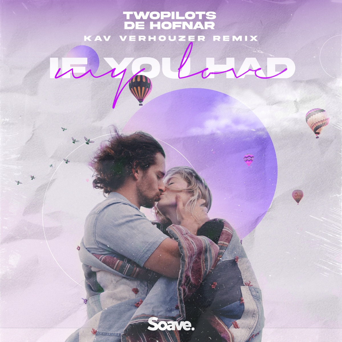 If You Had My Love (Kav Verhouzer Remix) - Single by TWOPILOTS & De Hofnar album cover