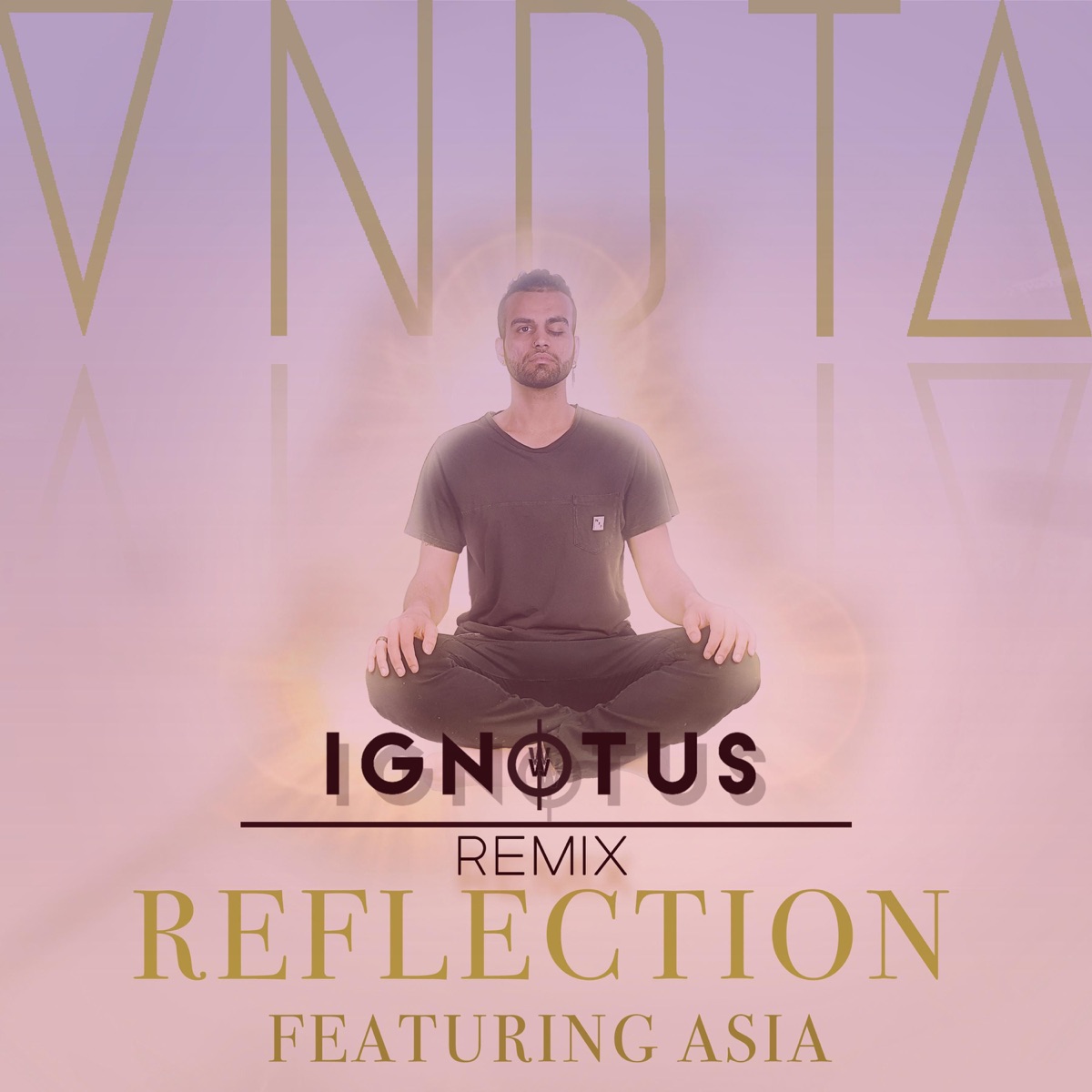 Reflection (feat. Asia & Ignotus) [Remix] [Remix] - Single by VNDTA album cover