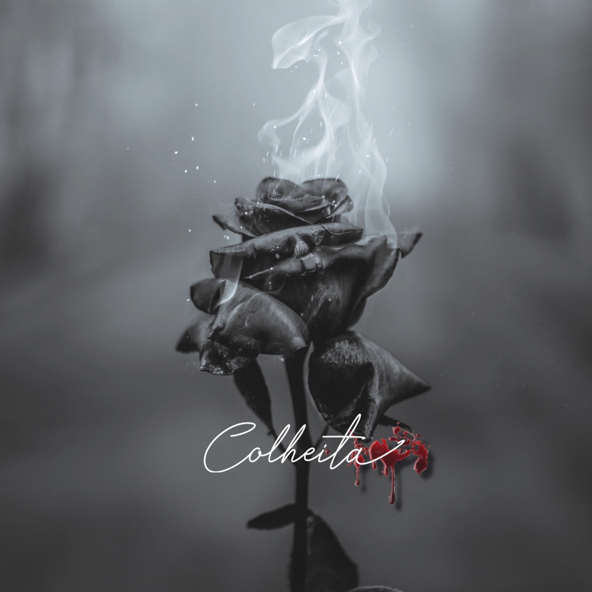 Colheita - Single by Kohoa mc album cover