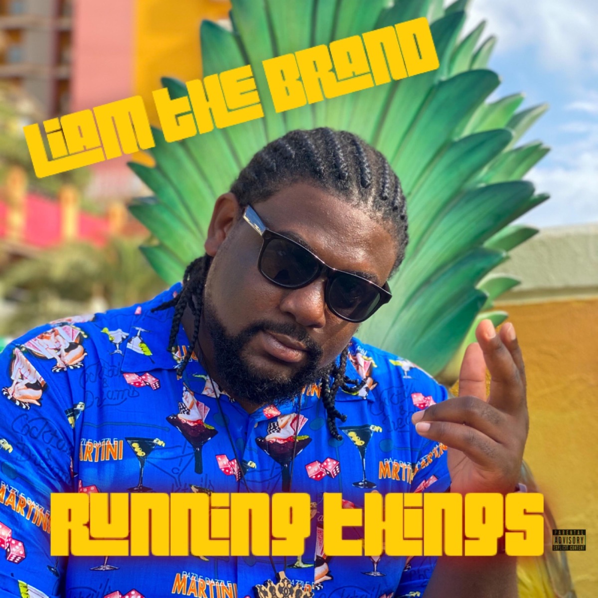 Running Things - Single by Liam the Brand album cover