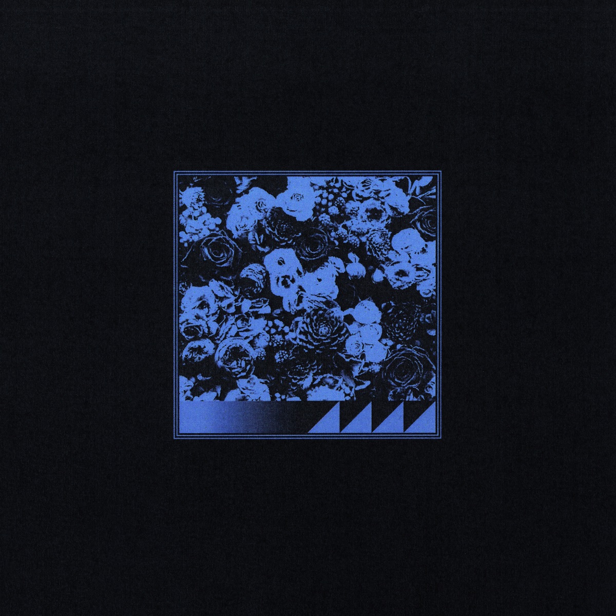 BIOS by Hnos Munoz album cover