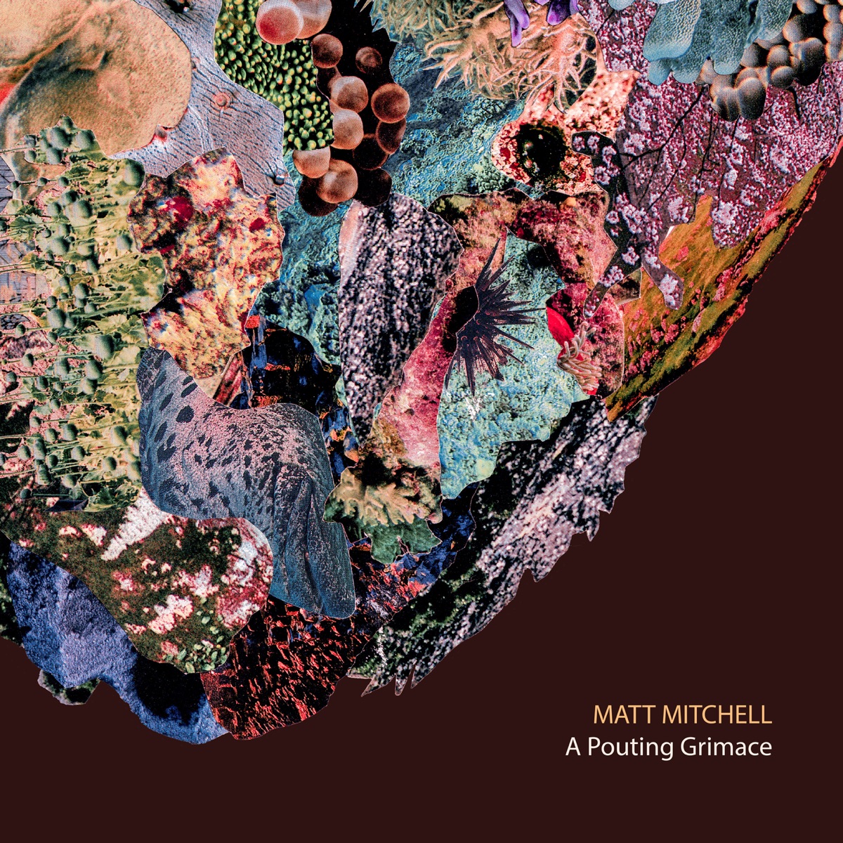 A Pouting Grimace (feat. Kim Cass, Kate Gentile, Ches Smith, Dan Weiss, Patricia Brennan, Katie Andrews, Anna Webber, Jon Irabagon, Ben Kono, Sara Schoenbeck, Scott Robinson & Tyshawn Sorey) by Matt Mitchell album cover