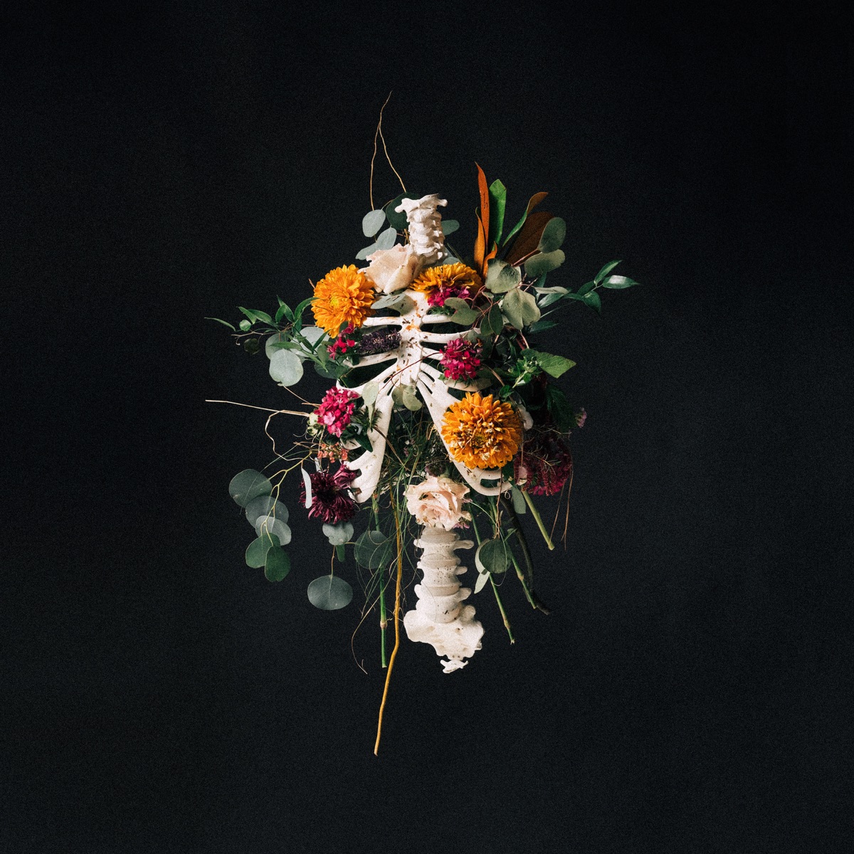 Graves into Gardens (Deluxe) [Live] by Elevation Worship album cover artwork