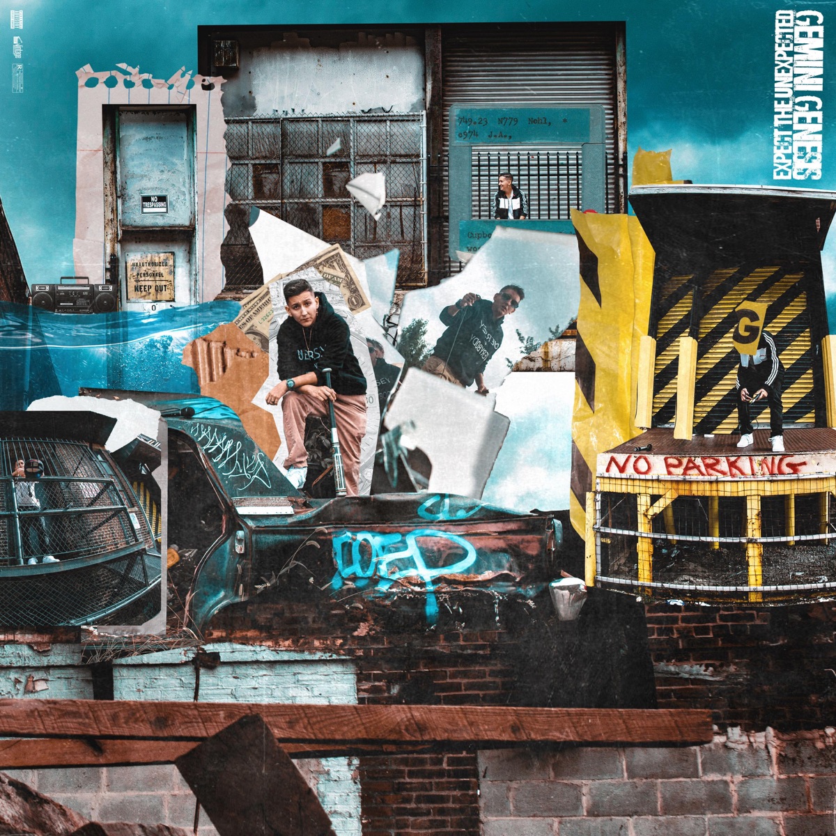 Expect The Unexpected by Gemini Genesis album cover