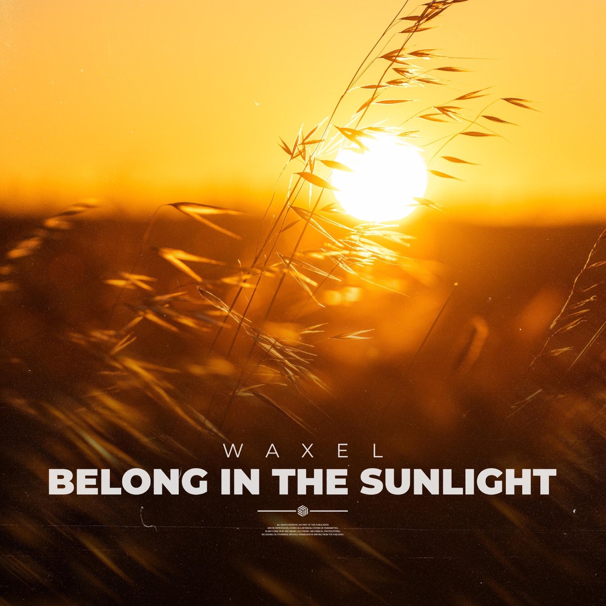 Belong In the Sunlight - Single by Waxel album cover