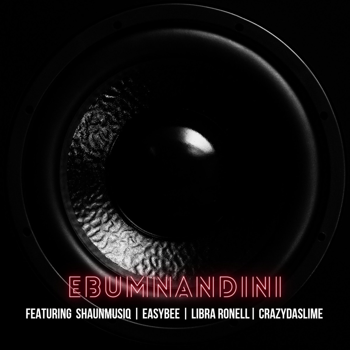 Ebumnandini (feat. ShaunMusiQ, Easybee, Libra Ronell & CrazyDaSlime) - Single by Kimbarlian boys album cover