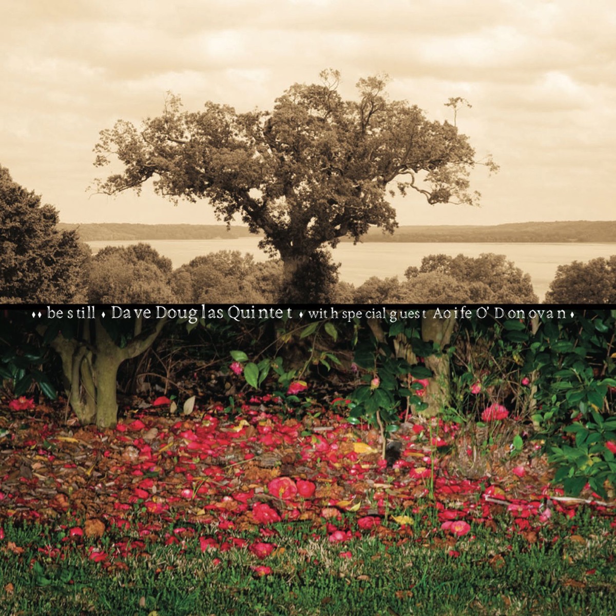 Be Still (with Jon Irabagon, Matt Mitchell, Linda Oh & Rudy Royston) by Dave Douglas Quintet album cover