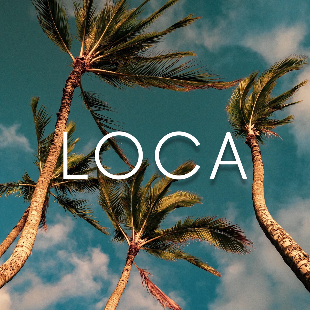 Loca - Single by Mavel & AVR album cover