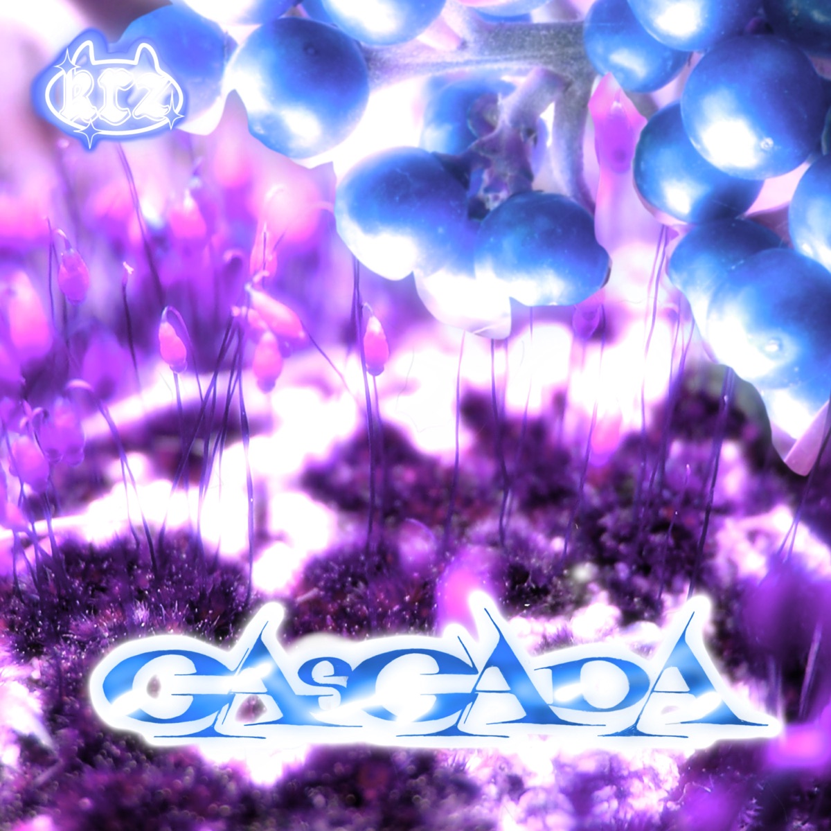 Cascada - Single by Drew K. & Piru album cover