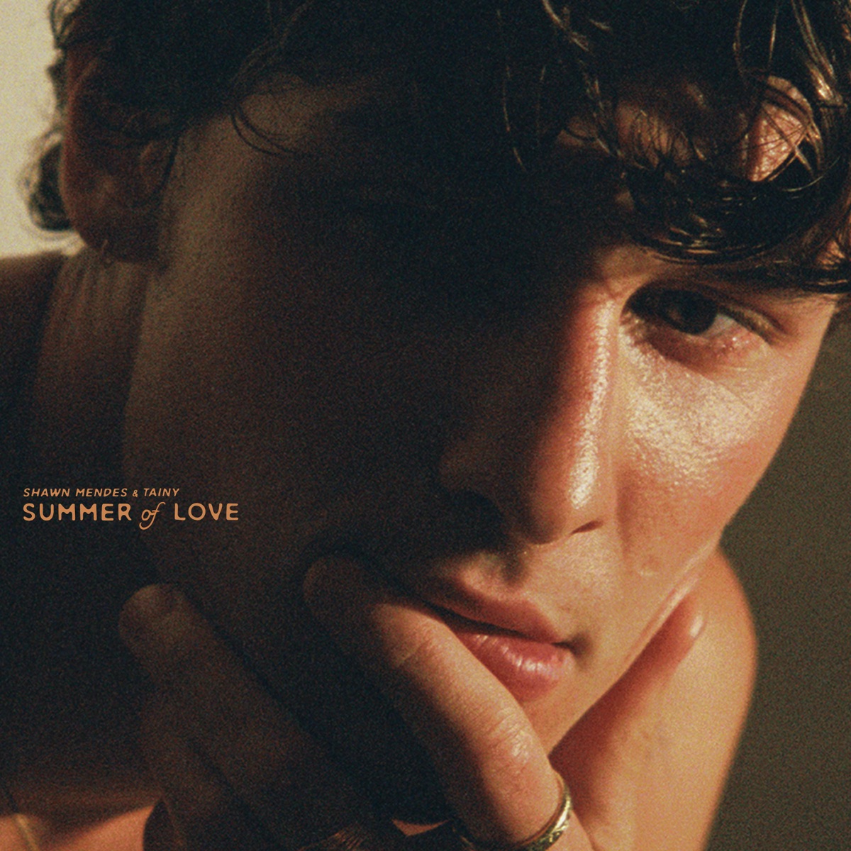 Summer Of Love - Single by Shawn Mendes & Tainy album cover