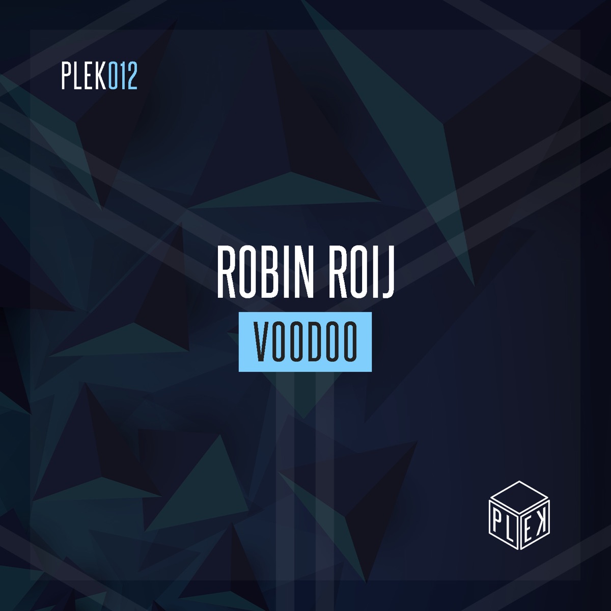 Voodoo - Single by Robin Roij album cover