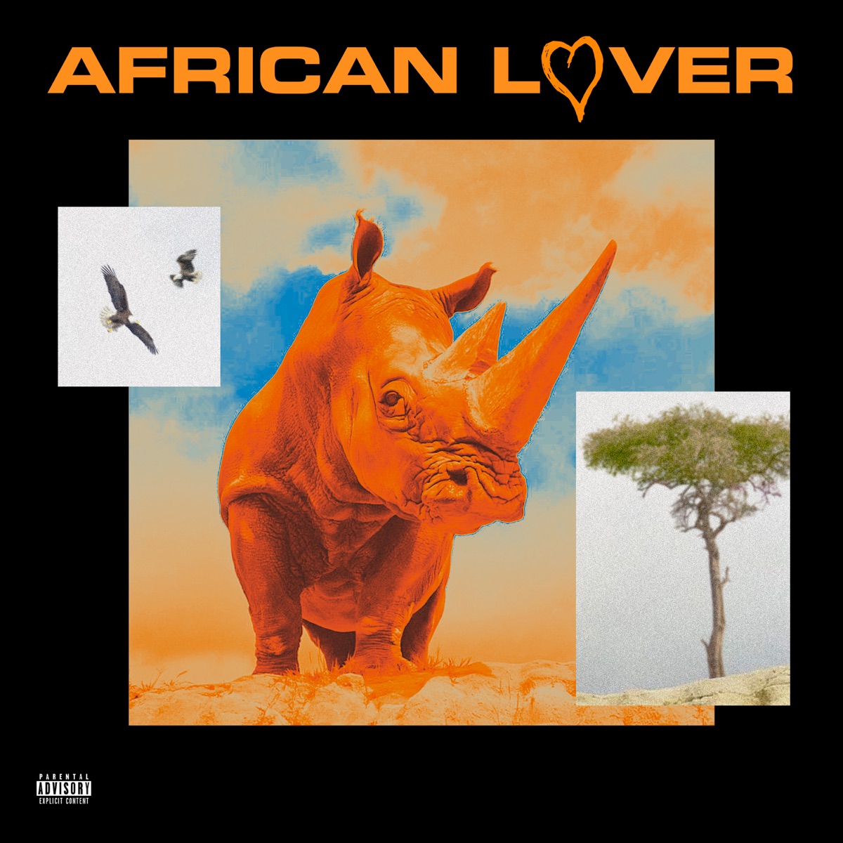 AFRICAN LOVER by Aissa album cover