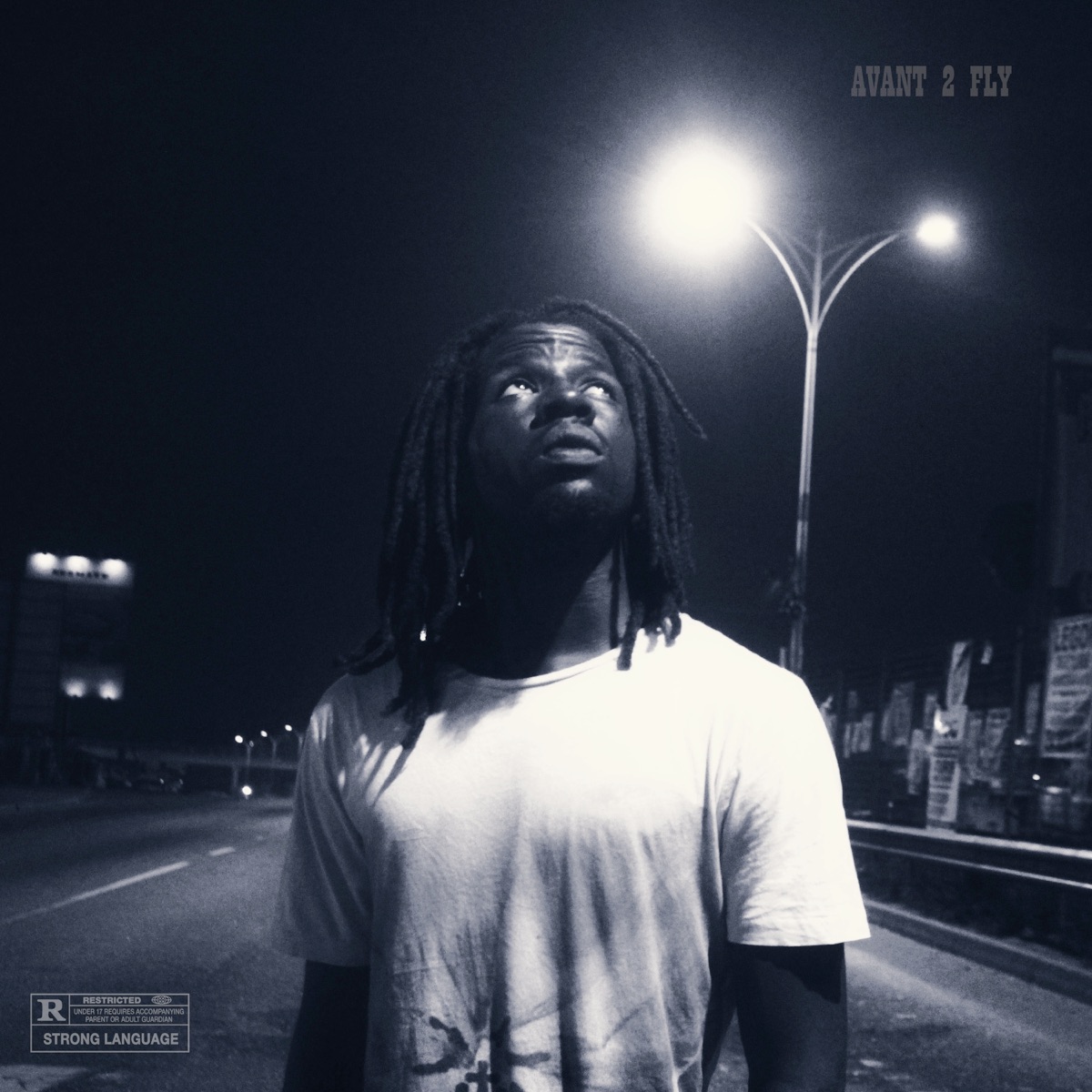Avant 2 Fly by Alm1s album cover