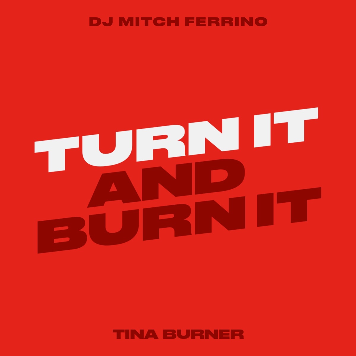 Turn It and Burn It (feat. DJ Mitch Ferrino) - Single by Tina Burner album cover