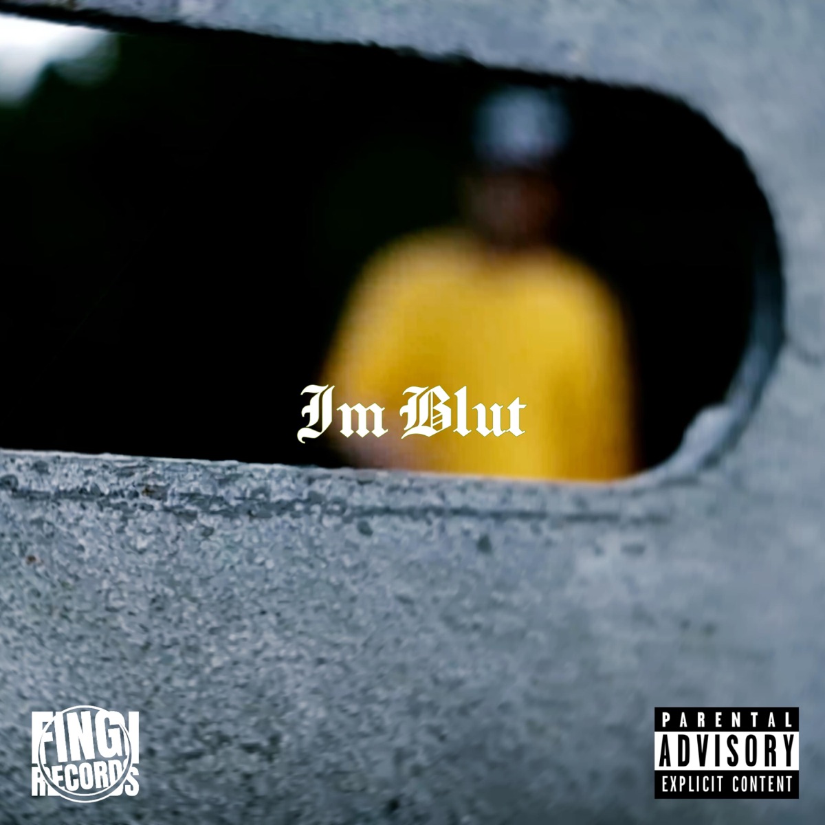 Im Blut - Single by Fingiboy album cover