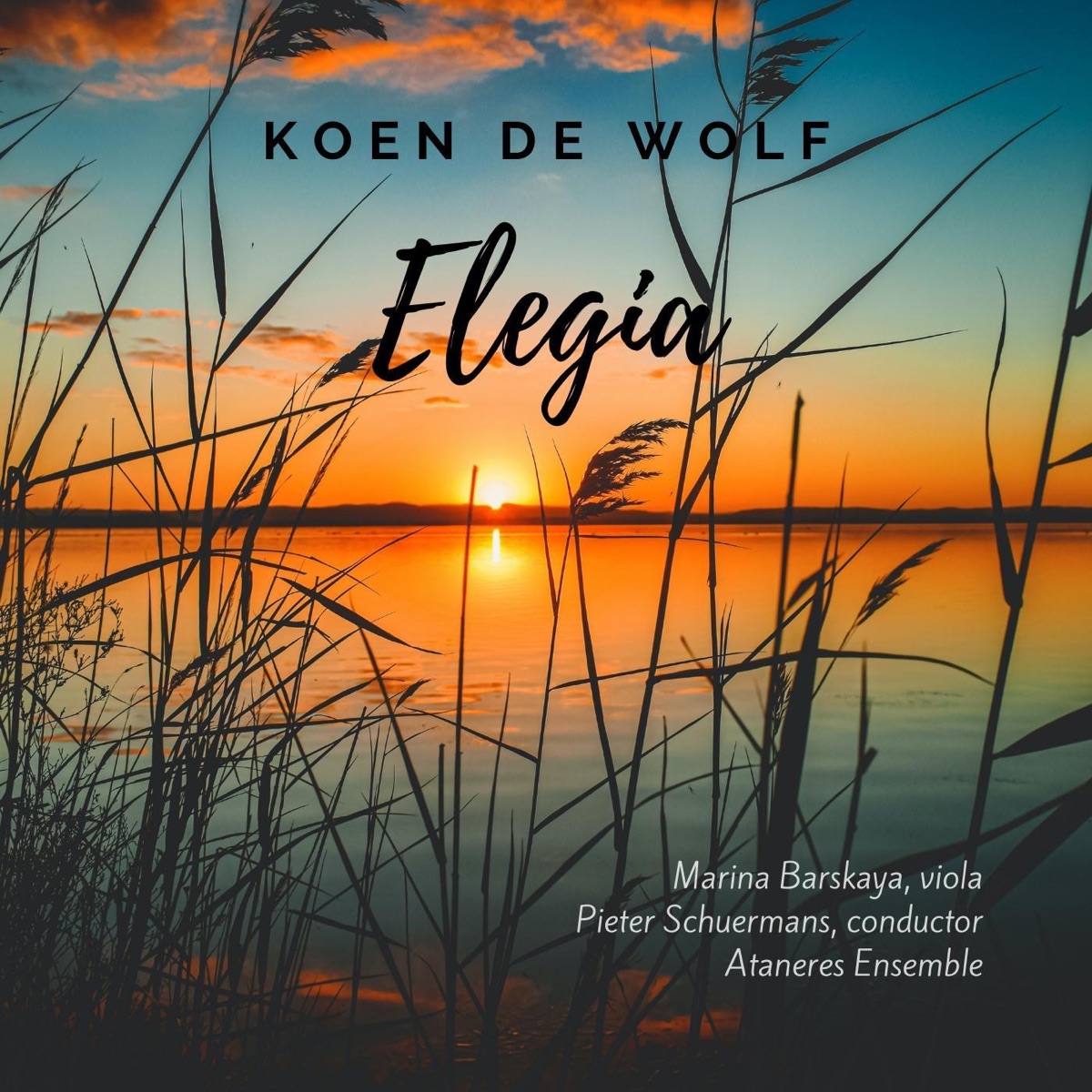 Koen De Wolf: Elegia - Single by Marina Barskaya, Pieter Schuermans & Ataneres Ensemble album cover