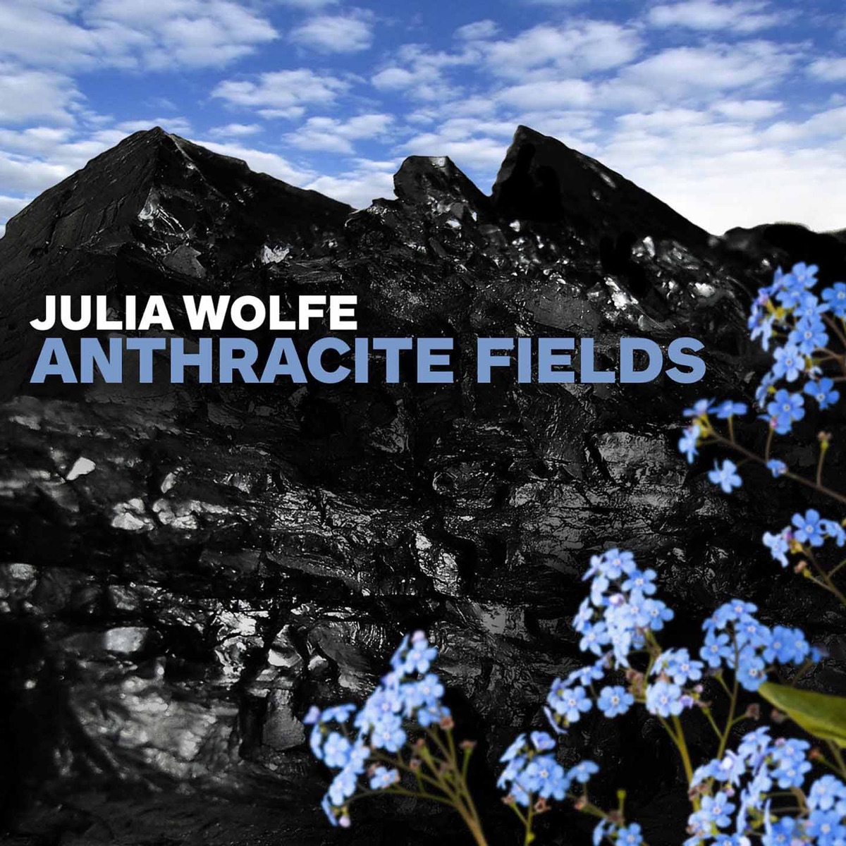 Julia Wolfe: Anthracite Fields by Choir of Trinity Wall Street, Bang on a Can All-Stars & Julian Wachner album cover