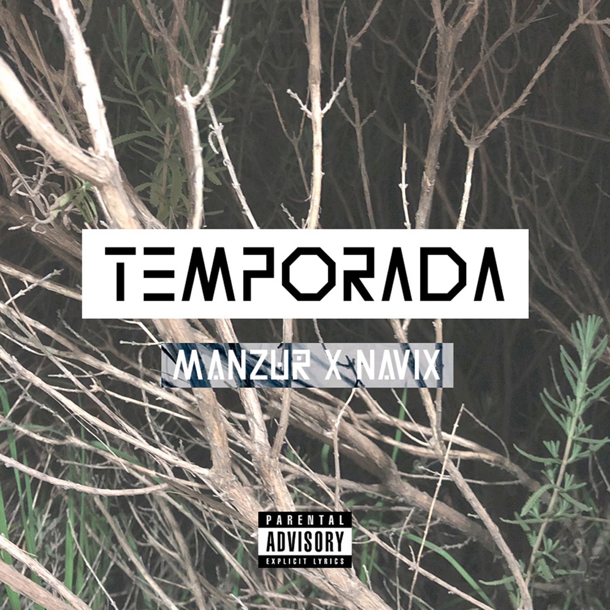 Temporada (feat. NAVIX) - Single by Manzur album cover